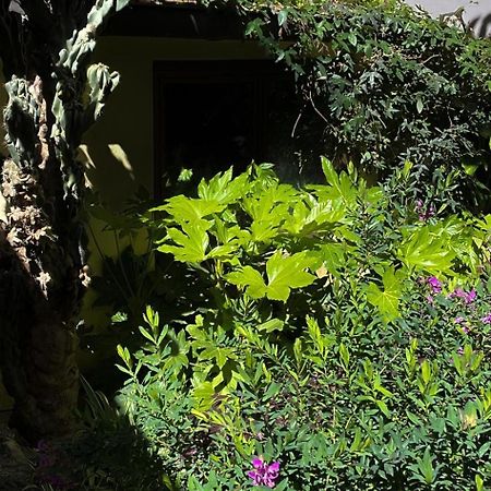 Loquat House Nel Giardino Segreto In Zona Vaticano Рим Екстер'єр фото