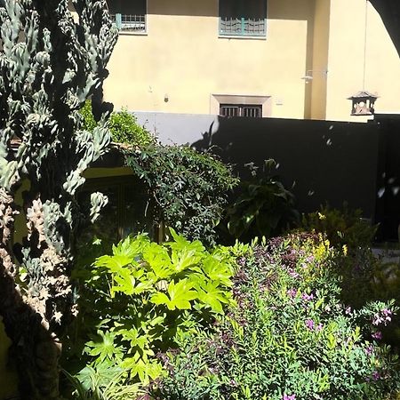 Loquat House Nel Giardino Segreto In Zona Vaticano Рим Екстер'єр фото