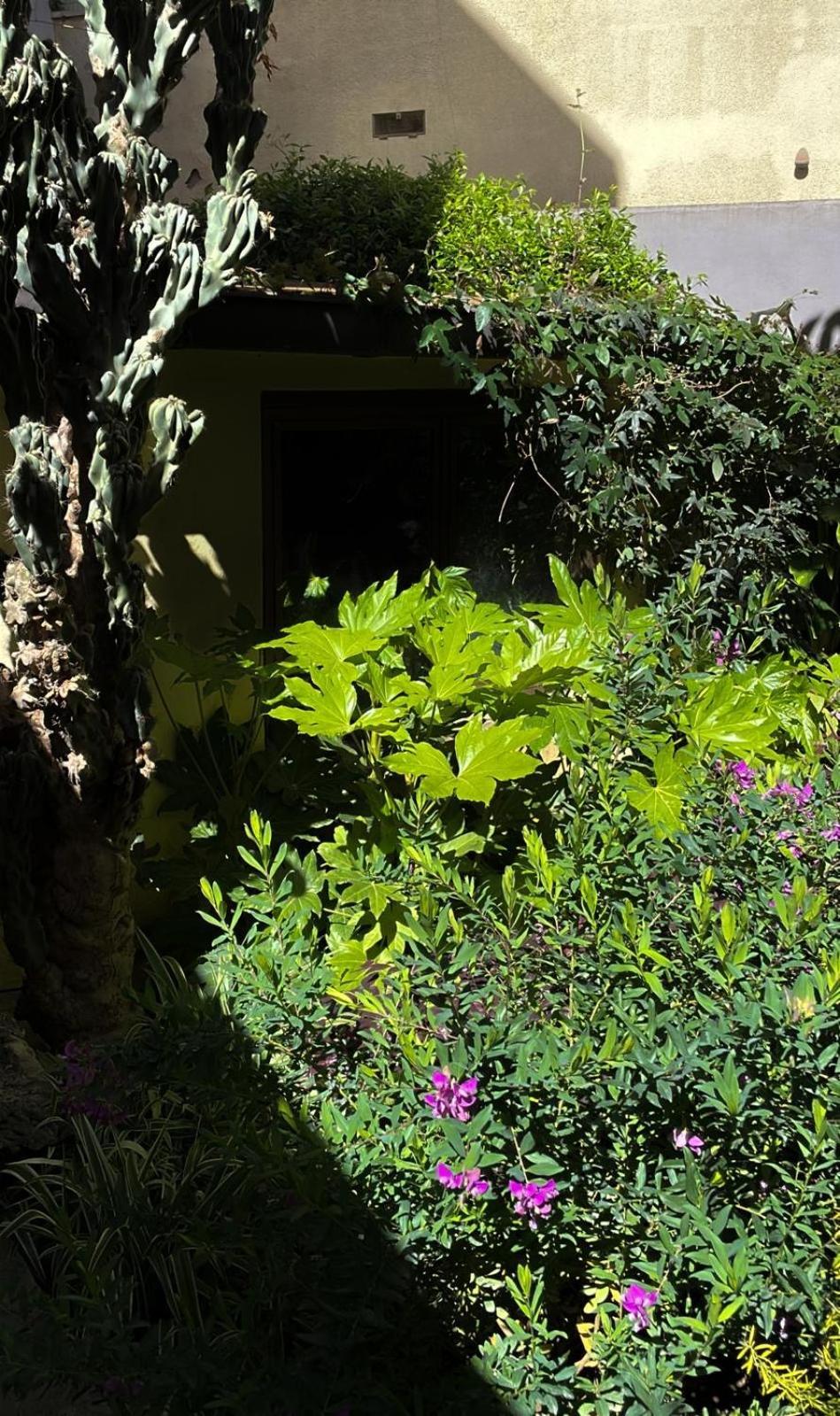 Loquat House Nel Giardino Segreto In Zona Vaticano Рим Екстер'єр фото