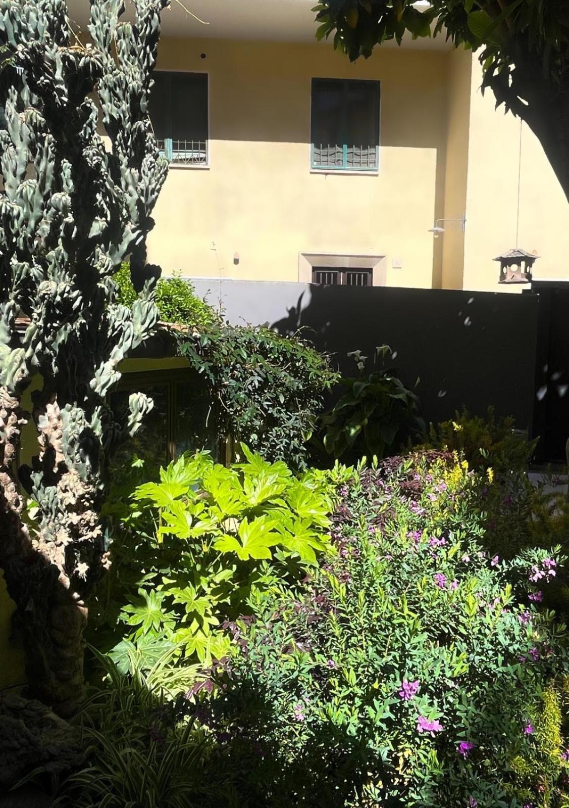 Loquat House Nel Giardino Segreto In Zona Vaticano Рим Екстер'єр фото